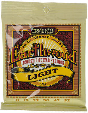 Ernie Ball 2004 Earthwood Bronze