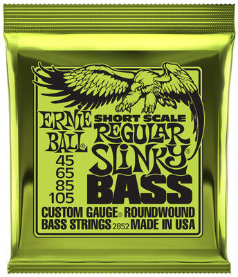 Ernie Ball 2852 Regular Slinky Short