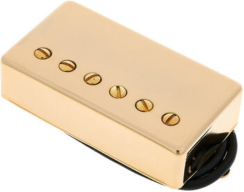 DiMarzio DP155G Tone Zone Gold Cover gold