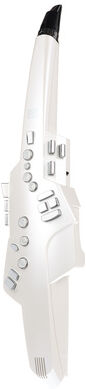 Roland Aerophone AE-10