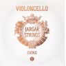 Jargar Evoke C Cello String 4/4