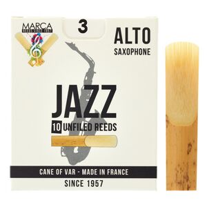 Jazz Alto Saxophone 3.0