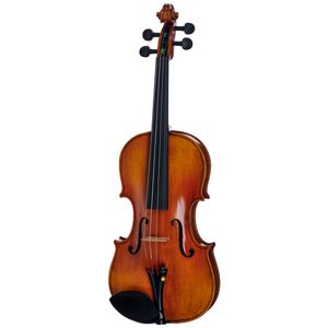 Hidersine Venezia Violin Set w. Wittner