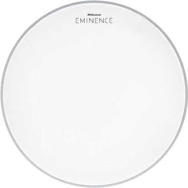 Millenium 18" Eminence Coated