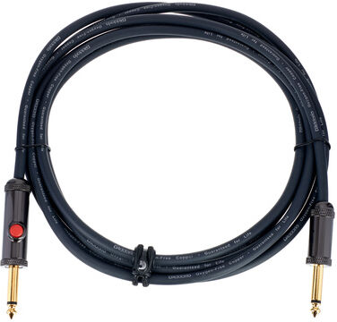 Daddario PW-AGL-10 Cable