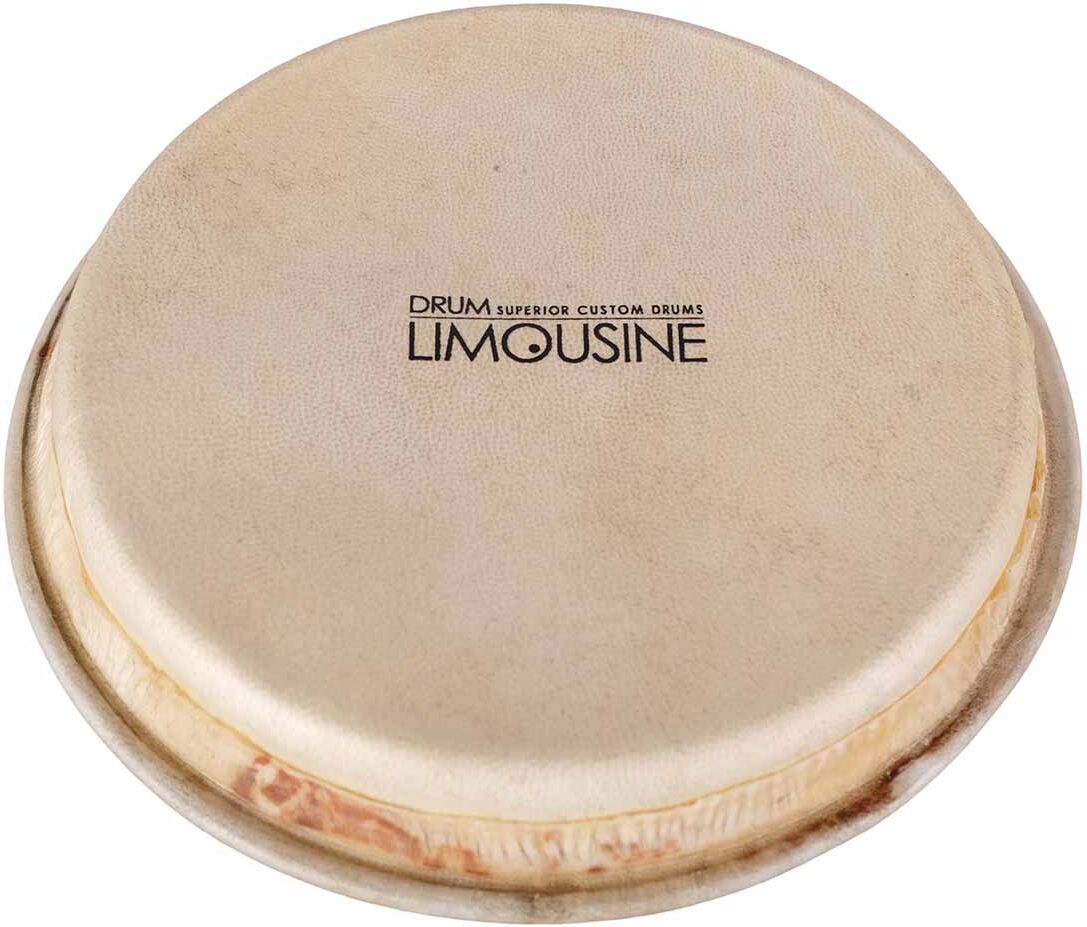 Drum Limousine TD-HEAD7 skinn til Traditional bongo, 7"