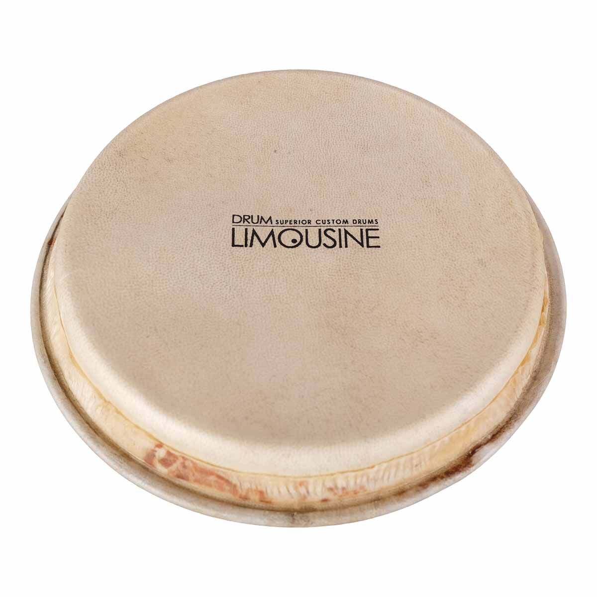 Drum Limousine TD-HEAD5 skinn til Traditional bongo, 5,5"