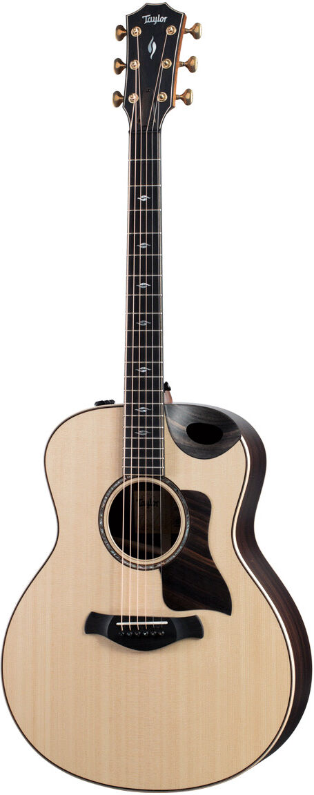 Taylor Builder's Edition 816ce western-gitar