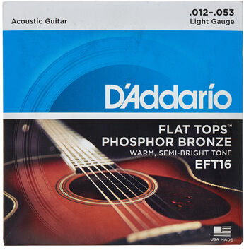 Daddario EFT16