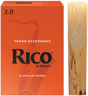 Daddario Woodwinds Rico Tenor Sax 2