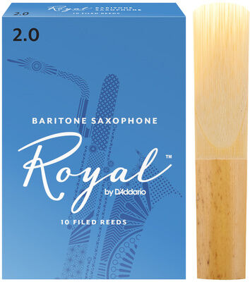 Daddario Woodwinds Royal Baritone Sax 2