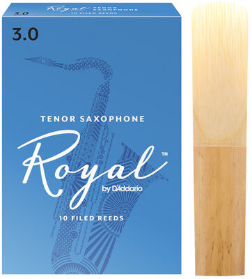 Daddario Woodwinds Royal Tenor Sax 3