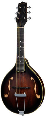 Gold Tone A-6 Tabacco Sunburst