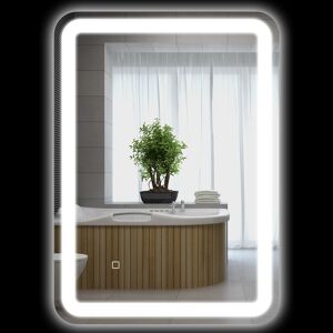 HOMCOM Miroir de salle de bain rectangulaire LED fonction anti-buée luminosité réglable fonction mémoire 70 x 50 cm argent