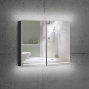 Schneider GRACELINE Armoire de toilette avec éclairage et 2 portes, 116.500.02.41, GRL 100/2/TW