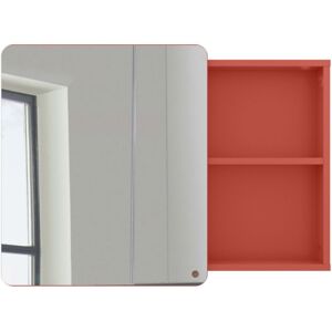 Meubles & Design Miroir placard salle de bain 58x80cm en bois orange