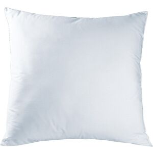 Coussin carre rectangulaire a recouvrir - Blancheporte Blanc Coussin : 50x50 cm