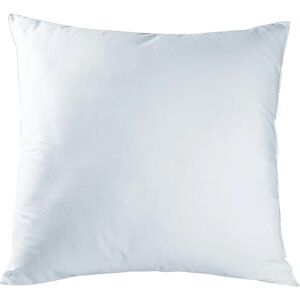 Blancheporte Coussin carré rectangulaire à recouvrir - Blancheporte Blanc Coussin : 50x50 cm