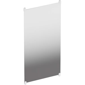 Hewi S 801 miroir mural 801.01B30098 600x1200x6mm, avec supports, mat, blanc signal