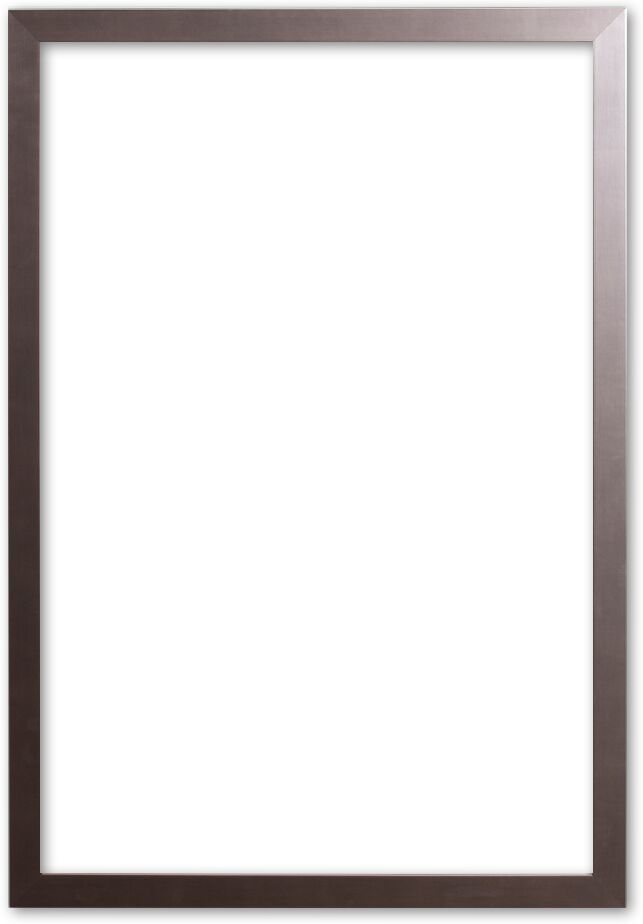 Verno Moderne Lijst 60x80 cm RVS - Ella