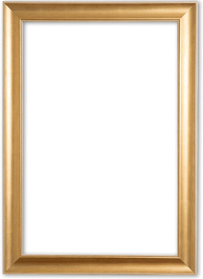 Verno Klassieke Lijst 50x60 cm Goud - Zoe