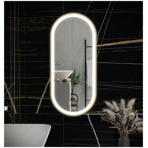 RAK CERAMICS Rak Picture Brushed Gold 450mm x 1000mm Oval Illuminated led Mirror - RAKPICOVBG5001 - Brushed Gold