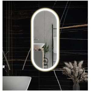 RAK CERAMICS Rak Picture Brushed Gold 550mm x 1000mm Oval Illuminated led Mirror - RAKPICOVBG5002 - Brushed Gold