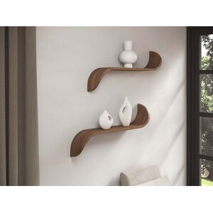 Tom Schneider Saturn Wall Shelf