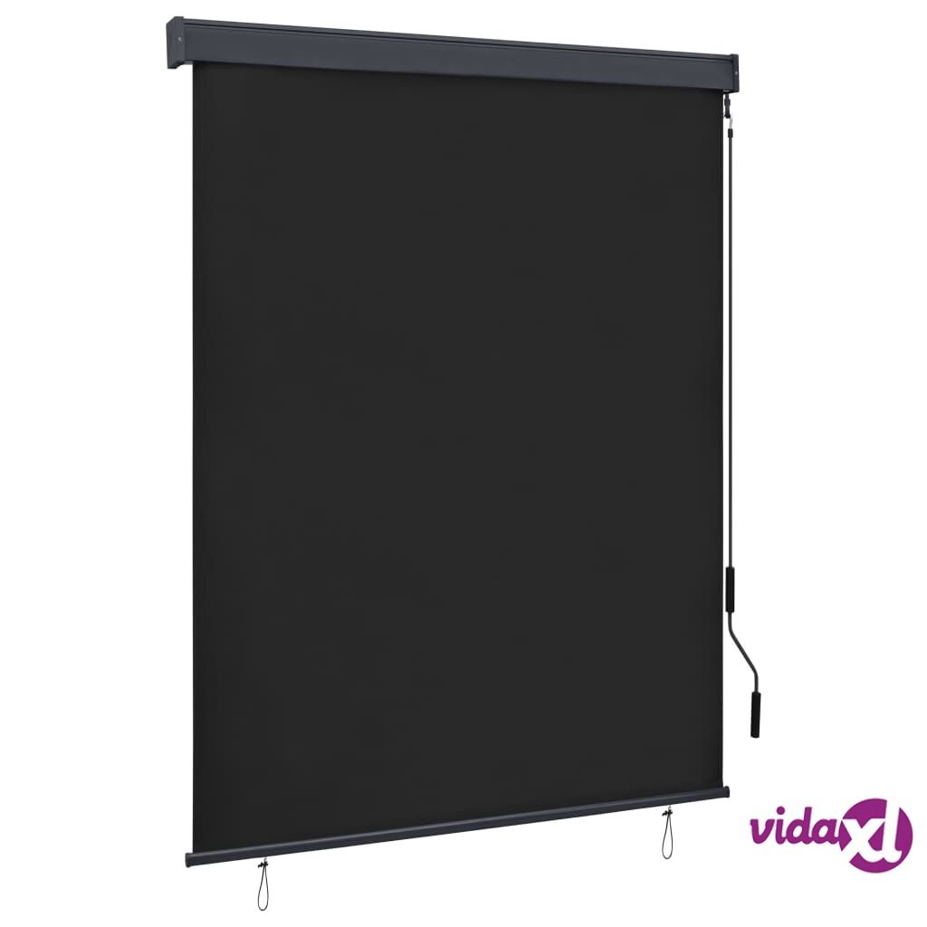 vidaXL Outdoor Roller Blind 140x250 cm Anthracite