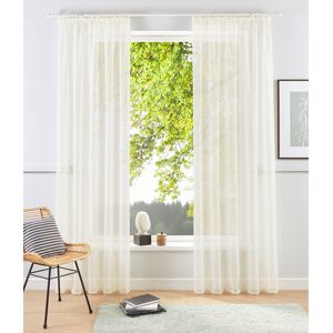 my home Gardine »XANA«, (1 St.), Voile, Bestseller, einfarbig, 1 Schal,... creme  225 cm