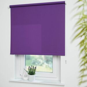 Liedeco Seitenzugrollo »Uni«, Lichtschutz, mit Bohren, freihängend, Montage... brombeere Größe 180 cm