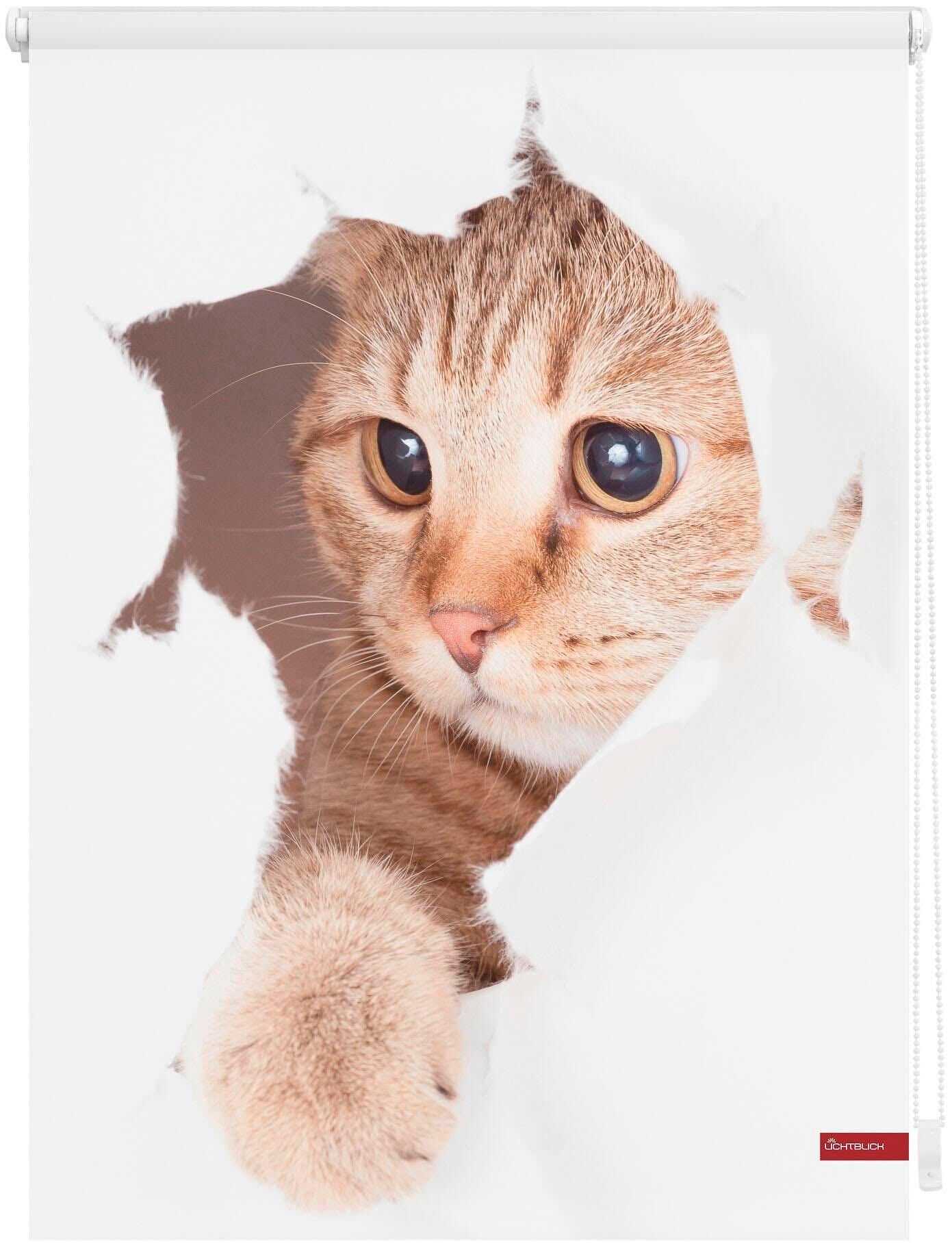 LICHTBLICK ORIGINAL Seitenzugrollo »Klemmfix Digital Katze«, verdunkelnd,... braun Größe H/B: 150/120 cm