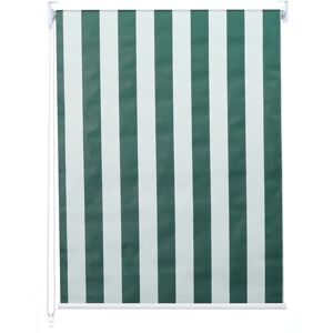 HEGELE Neuwertig] Rollo HHG-414, Fensterrollo Seitenzugrollo Jalousie, Sonnenschutz Verdunkelung blickdicht 80x230cm grün/weiß - multicolour