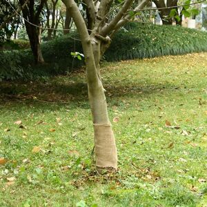 vidaXL Jutegewebe 0,25x15 m 100% Jute 200 g/m² - Size: 0.25 x 15 m