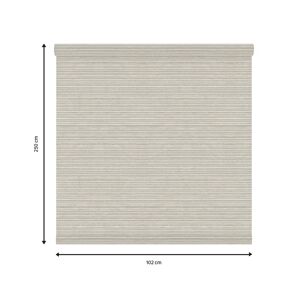Inspire Tessuto per tende a rullo filtrante  Darwin beige 102 x 250 cm