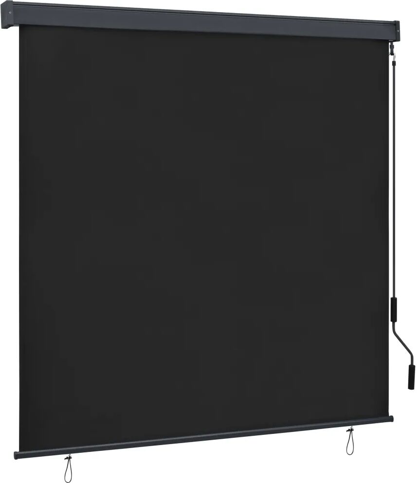 vidaXL Estore de rolo para exterior 170x250 cm antracite