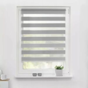 Symple Stuff Semi-Sheer Day & Night Roller Blind white 150.0 H x 140.0 W cm