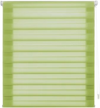 Latitude Run Indus Semi-Sheer Roller Blind Latitude Run Finish: pistachio, Size: 72x180  - Size: 67x180