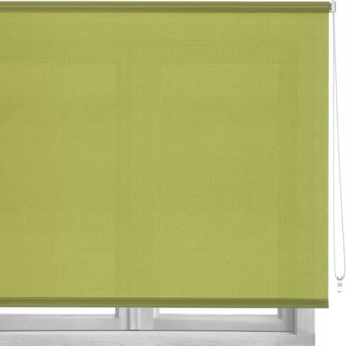 Latitude Run Semi-Sheer Roller Blind Latitude Run Finish: Green, Size: 180 cm L x 140 cm W  - Size: Small