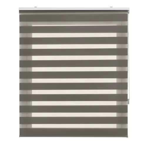 Brayden Studio Lira Semi-Sheer Roller Blind Brayden Studio Finish: anthracite, Size: 120x250  - Size: 100x180