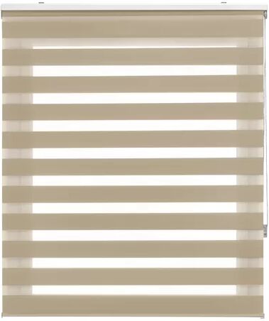 Brayden Studio Lira Semi-Sheer Roller Blind Brayden Studio Finish: beige, Size: 140x250  - Size: 140x250