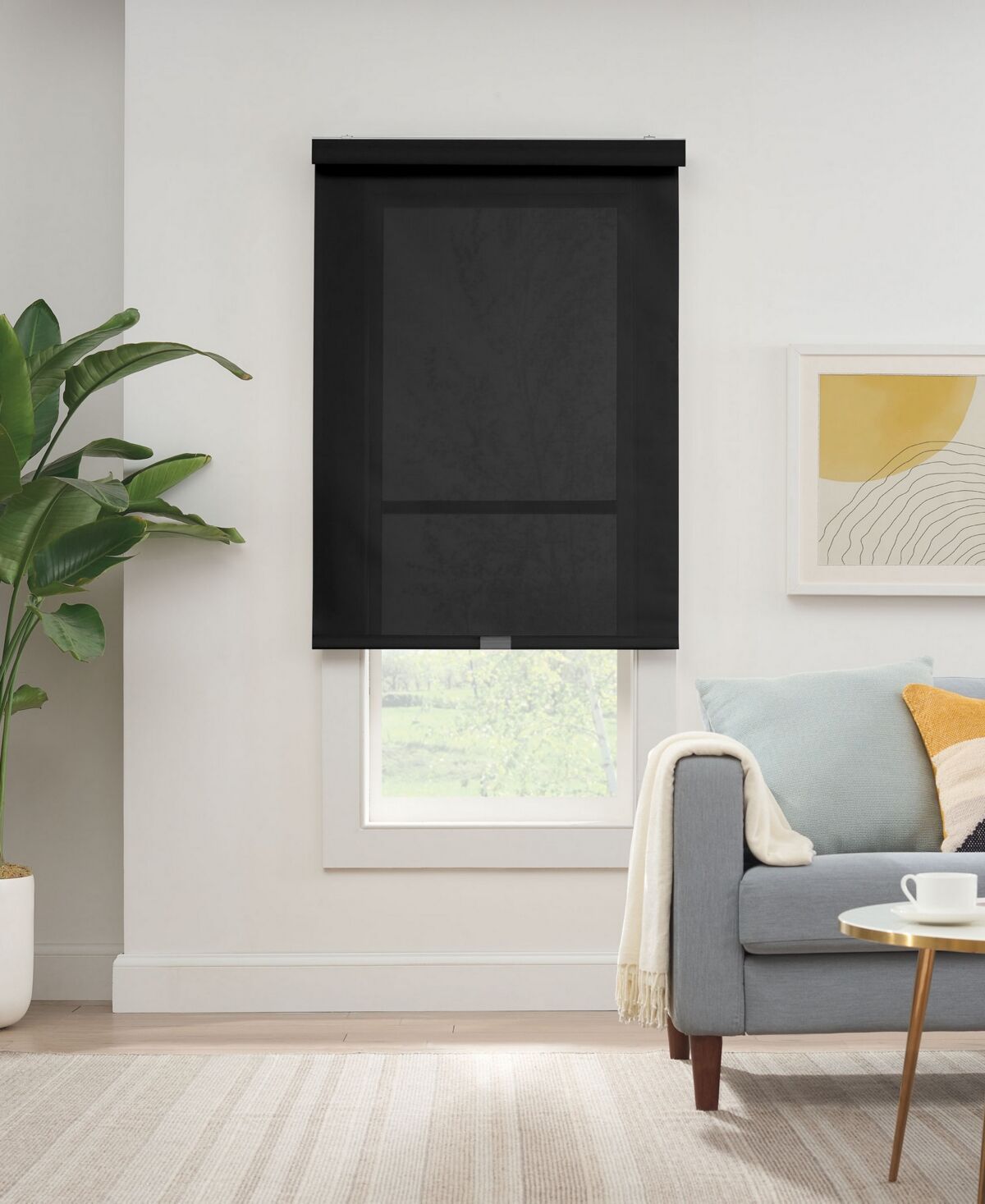 Eclipse Solar Cordless Light Filtering Privacy Roller Shade, 72