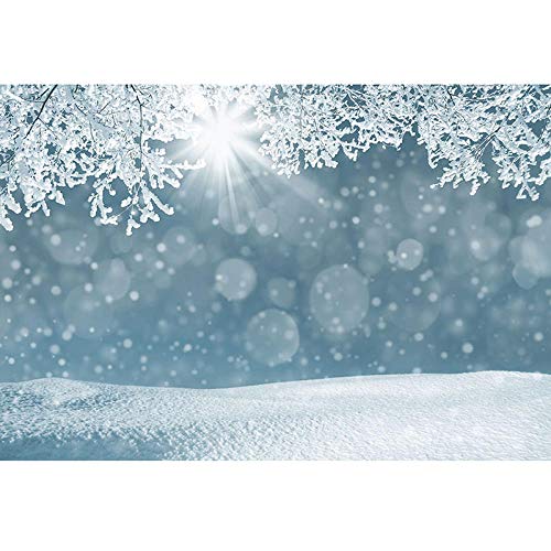 BEFUSC5918 Fotografi bakgrunder vinyl snö ljus god fräsch look färg juldekoration bakgrund vägg video skytte blomma vägg bakgrund foto studio ta bilder bakgrund