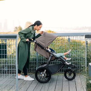 UPPAbaby RIDGE Sportsvogn, Theo