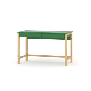 WNM Group Escritorio infantil en madera maciza de pino&MDF 120x60 verde