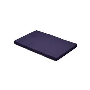 Hauck Matelas Sleeper pour lit parapluie 120x60cm - Navy - Publicité