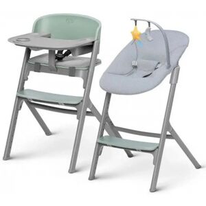 Kinderkraft Seggiolone Pappa Evolutivo Trasformabile in Sedia con Vassoio LIVY GREEN + SDRAIETTA