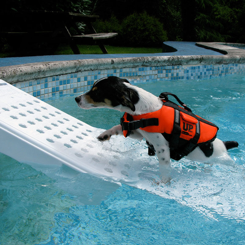 Skamper Ramp Rampe de piscine pour chien - Skamper Ramp