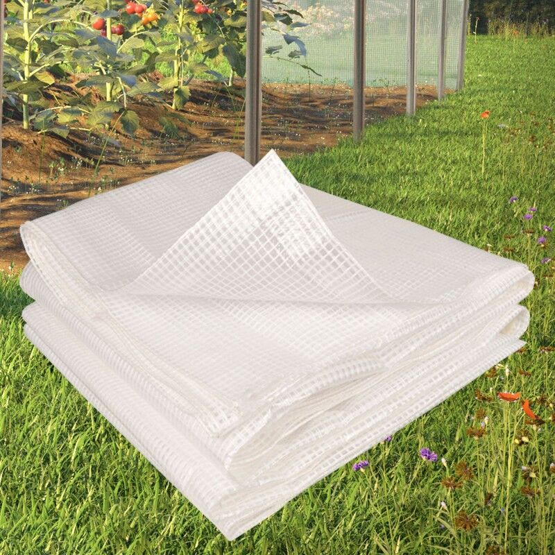 ProBache Bâche armée transparente 2x3 m renforcée