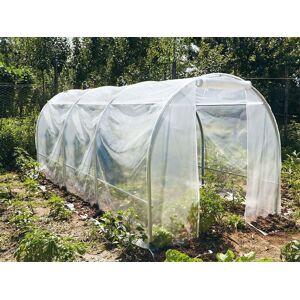 Dancover Foliengewächshaus 2x4,5x1,75m, 9m², PVC, Transparent